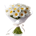 Chamomile Bouquet