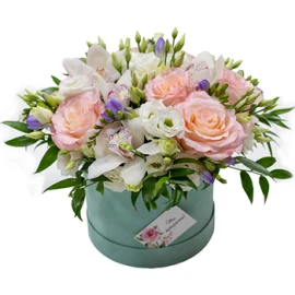 Potted Display