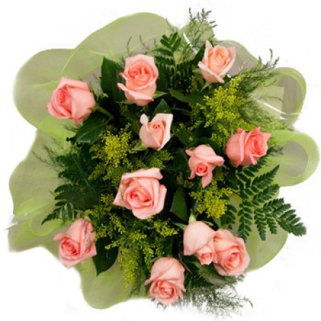 Classic Dozen in Pink