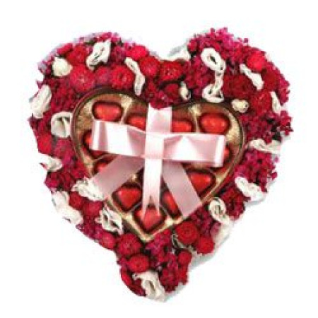 Praline Belgian Chocolate