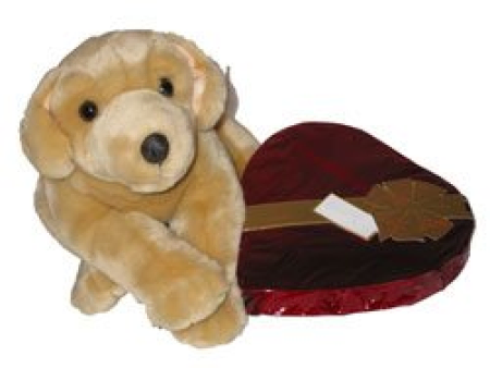 Juguete de peluche y chocolate